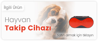 hayvan, kedi - köpek takip cihazı